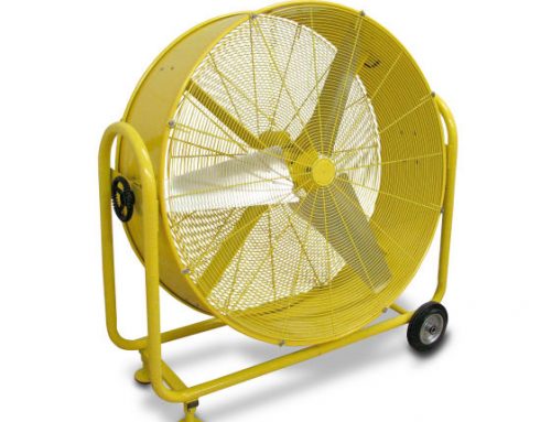 Large Fan