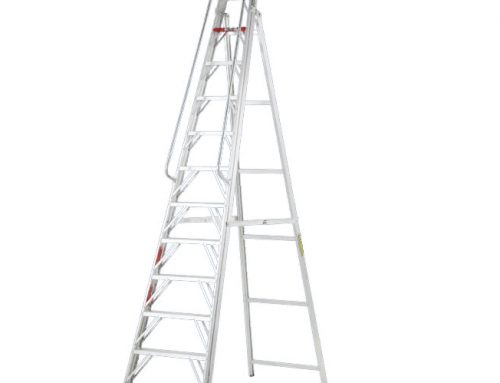 Large Step Ladder with rails